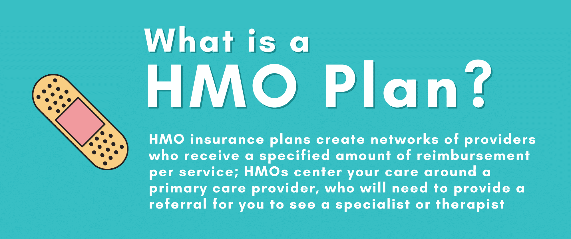 HMO Health Insurance Plan